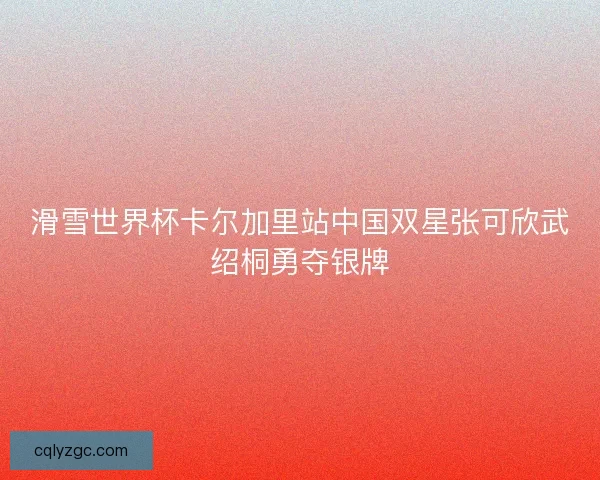 滑雪世界杯卡尔加里站中国双星张可欣武绍桐勇夺银牌